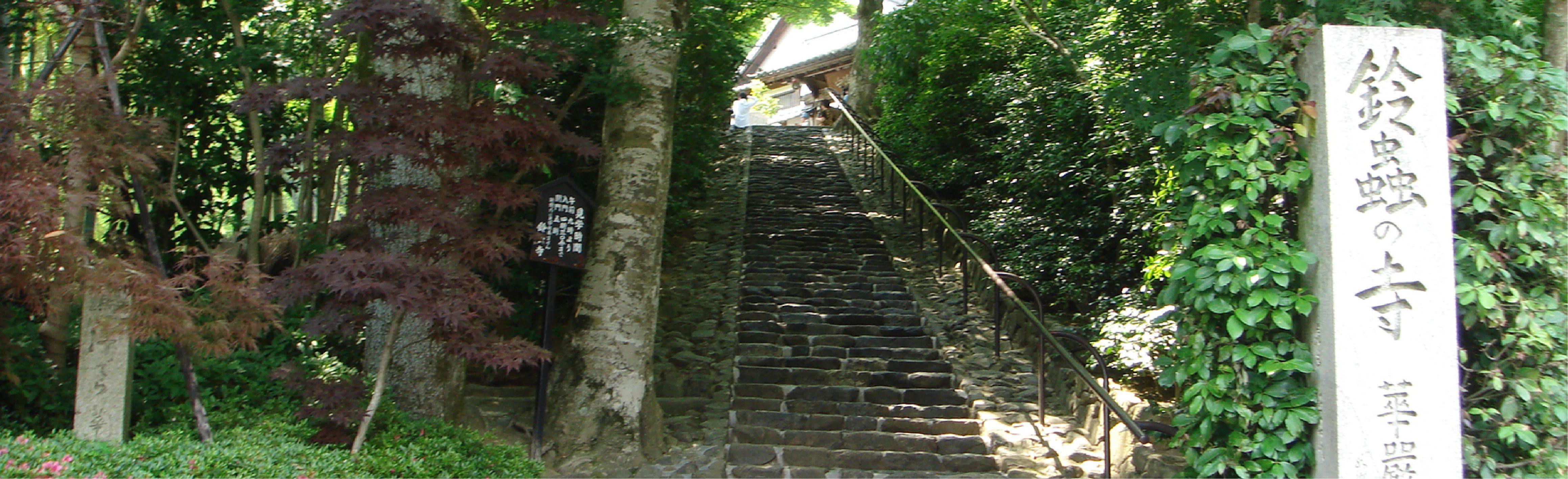 鈴虫寺 イメージ